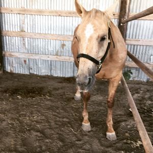 Meet your Posher, London